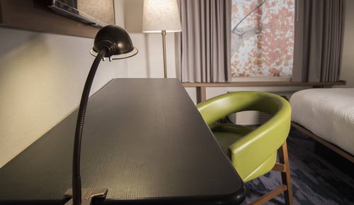 Suite, 1 King-Bett und Schlafsofa (Mobility/Hearing Accessible, Tub)