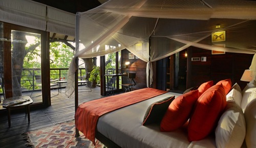 Luxury-Baumhaus, 1 King-Bett, Nichtraucher