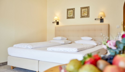 Superior-Doppelzimmer, Bergblick