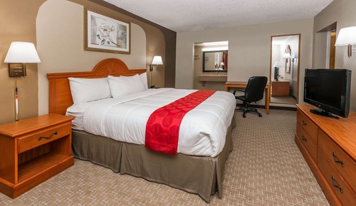 Suite, 1 Schlafzimmer, Nichtraucher