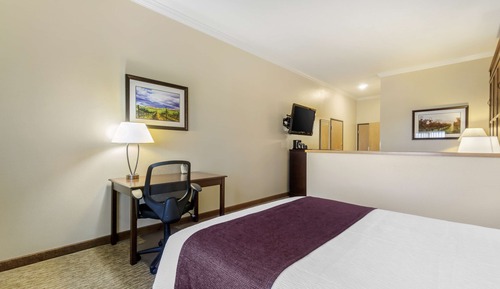 Standardzimmer, 1 Queen-Bett, barrierefrei, Kühlschrank und Mikrowelle