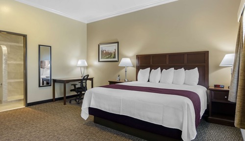 Suite, 1 King-Bett, Nichtraucher, Küche (Walk-in Shower)