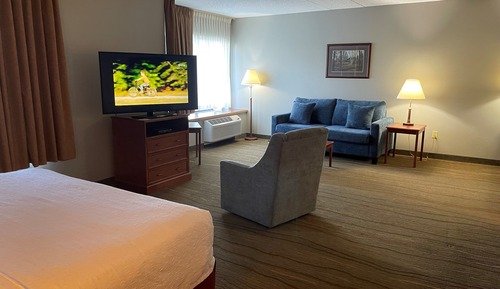 Studio, 1 King-Bett, Ausstattung für hörgeschädigte Menschen, Seeblick (Mobility,Roll-In Shower)