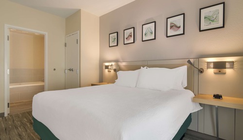 Suite, 1 Schlafzimmer, Whirlpool