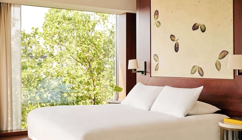 Suite, Eckzimmer (Park)