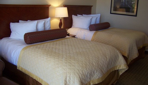 Executive-Doppelzimmer (Pets Not Allowed)