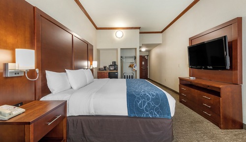 Classic-Suite (Suites Accessible, Roll-In-Shower)