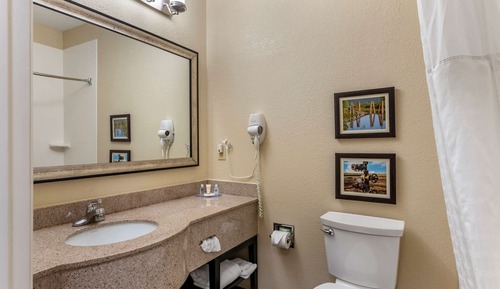 1 King bed, Suite, Nonsmoking