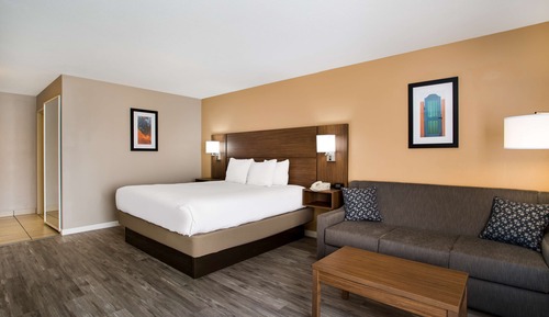 Standardzimmer, 1 King-Bett, Nichtraucher, Kühlschrank und Mikrowelle (with Sofabed)