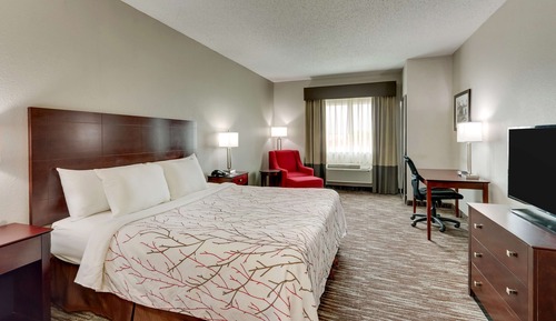 Standardzimmer, 1 King-Bett, barrierefrei, Nichtraucher (Walk-in Shower)