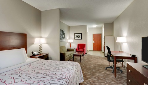 Suite, 1 King-Bett, Nichtraucher, Whirlpool (with Sofabed)