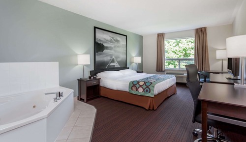 Suite, 1 King-Bett, Whirlpool