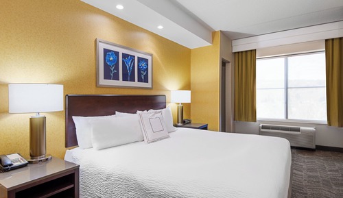 Suite, 1 King-Bett und Schlafsofa