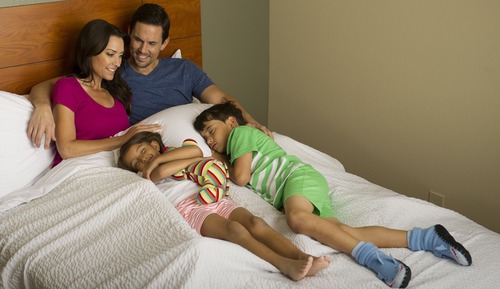 Zimmer, 1 Doppelbett, barrierefrei, Nichtraucher