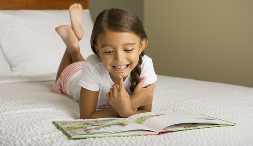 Standardzimmer, 1 Doppelbett und Schlafsofa, barrierefrei, Nichtraucher (1 Person Sofa Bed)