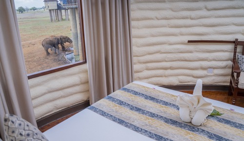 Standard-Doppelzimmer