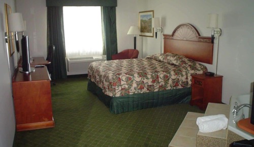 Deluxe-Studiosuite, 1 King-Bett, Nichtraucher