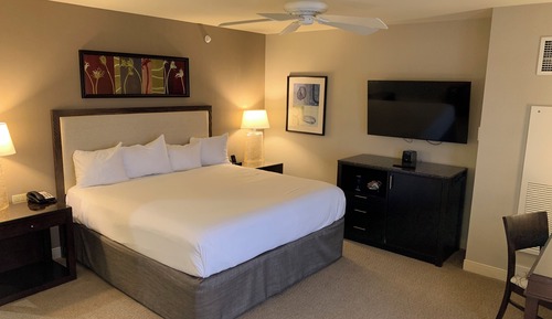 North Junior Suite King  with Sofa Non-Smoking