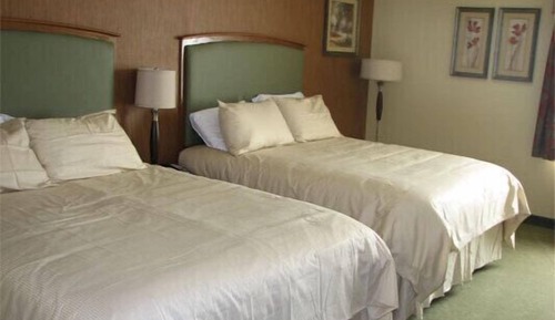 Signature-Zimmer, Kühlschrank und Mikrowelle