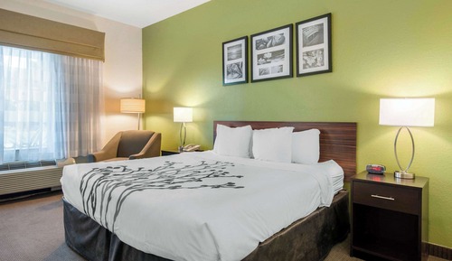 Zimmer, 1 King-Bett, barrierefrei, Nichtraucher