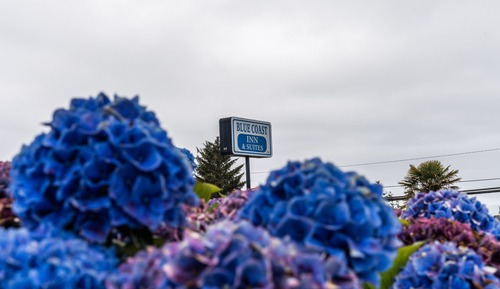 Suite, 2 Queen-Betten, Kochnische