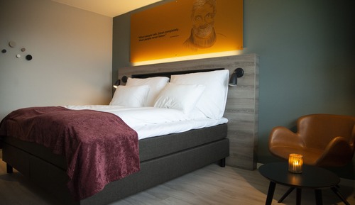 Doppelzimmer, 1 Queen-Bett (Queen bed)