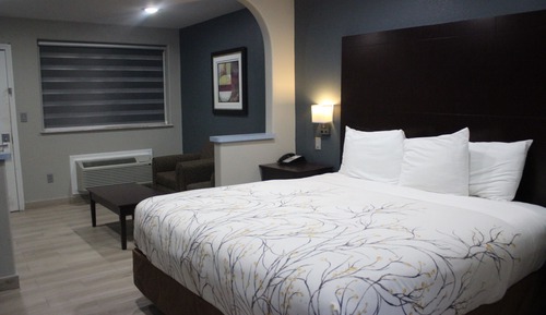 Executive-Zimmer, 1 King-Bett