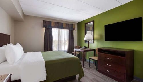 Zimmer, 1 Queen-Bett, barrierefrei, Nichtraucher (Roll-In Shower)