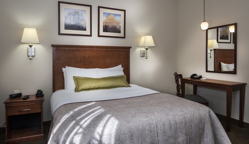 Suite, 1 Schlafzimmer