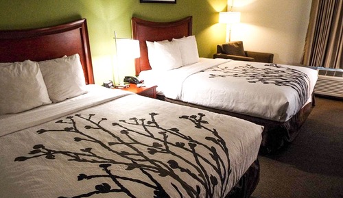 Zimmer, 2 Doppelbetten, barrierefrei, Nichtraucher