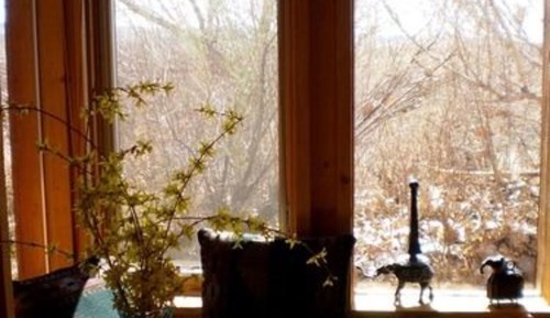 Zimmer (Cottonwood room)