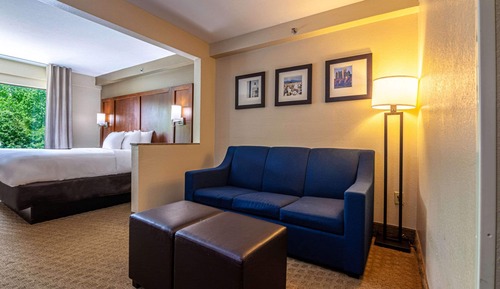 Suite, 1 King-Bett und Schlafsofa, barrierefrei, Nichtraucher