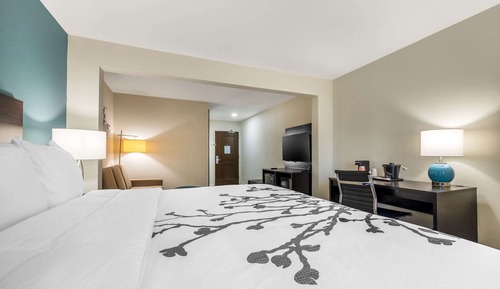 Suite, 1 King-Bett und Schlafsofa, Nichtraucher