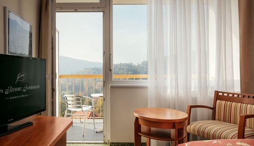 Doppel- oder Zweibettzimmer, Balkon, Stadtblick (Wellness access)