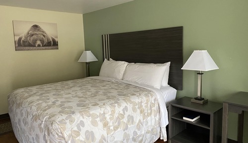 Standard-Einzelzimmer, 1 King-Bett