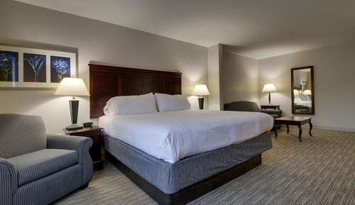 Suite, 1 King-Bett, barrierefrei, Nichtraucher (Mobility Transfer Shower)