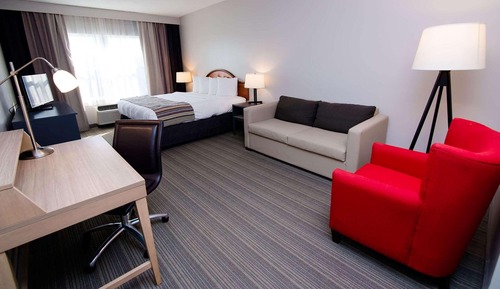 Studiosuite, 1 King-Bett, Nichtraucher