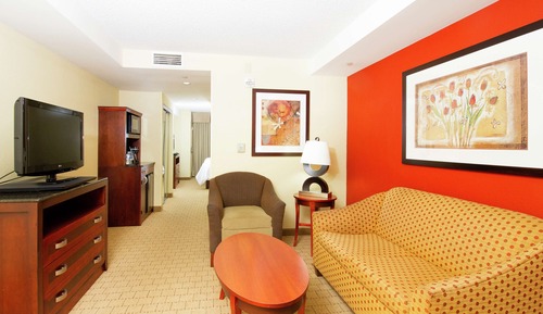 Suite, 1 Schlafzimmer, 1 King-Bett