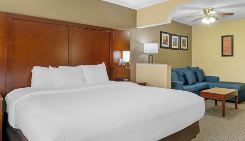 Deluxe-Suite, 1 King-Bett, Nichtraucher