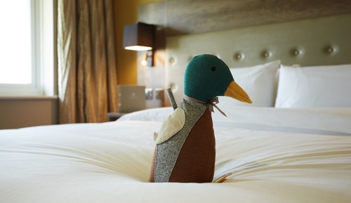 Superior-Vierbettzimmer, Blick auf den Golfplatz