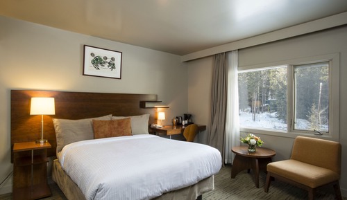Standardzimmer, 1 King-Bett (Standard Woodland King)