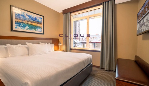 Suite, 1 Schlafzimmer