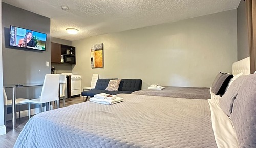 Economy-Studio, Mehrere Betten, Kochnische, zum Garten hin