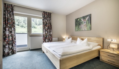 Basic-Apartment, 1 Schlafzimmer, Balkon, Bergblick