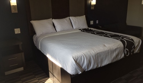 Suite, 1 King-Bett, Kochnische