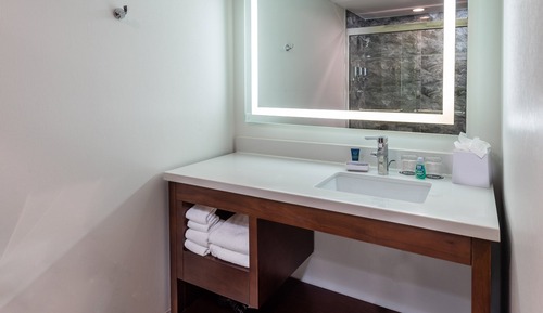 Traditional-Zimmer, 1 King-Bett (Mobility/Hearing Access, Roll-In Shwr)