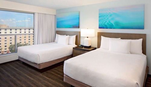 Suite, 1 Schlafzimmer, Küche (2 Queen Beds with Sofa Bed, Specialty)