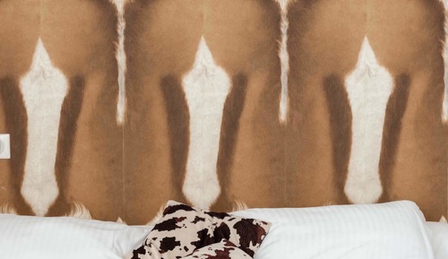 Comfort-Doppel- oder -Zweibettzimmer (Campagne)