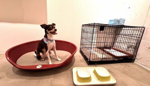 Dreibettzimmer, 3 Einzelbetten, Nichtraucher, Kühlschrank und Mikrowelle (Pet Friendly)