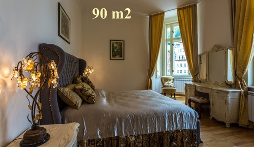 Deluxe-Apartment, 1 Queen-Bett, Nichtraucher, Küche